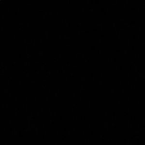 Meet your Posher, Lianna